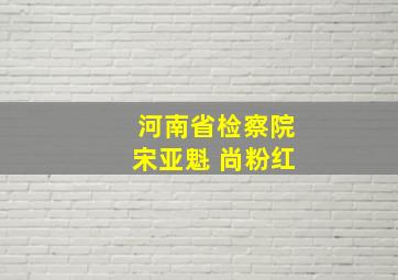 河南省检察院宋亚魁 尚粉红